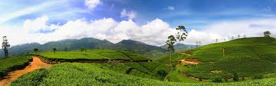 BPL TEAS (PVT) LTD