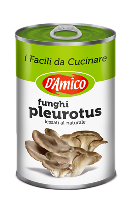 D&D ITALIA SPA-D'AMICO 
