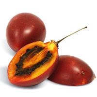 The REAL Orchard
