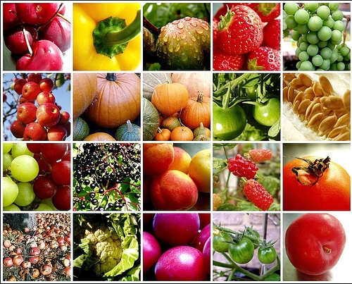 Food Lover's Market Levy Junction