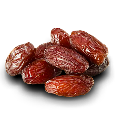 BOUDJEBEL SA VACPA