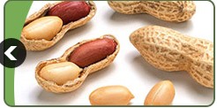Vegra Commodities