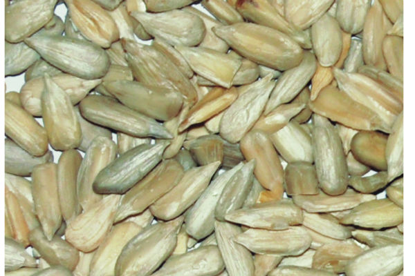 DAL~JIAHONG BROTHERS INT'L TRADING CO. LTD - Export Product #38208