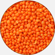 CENTURY AGRO LTD.