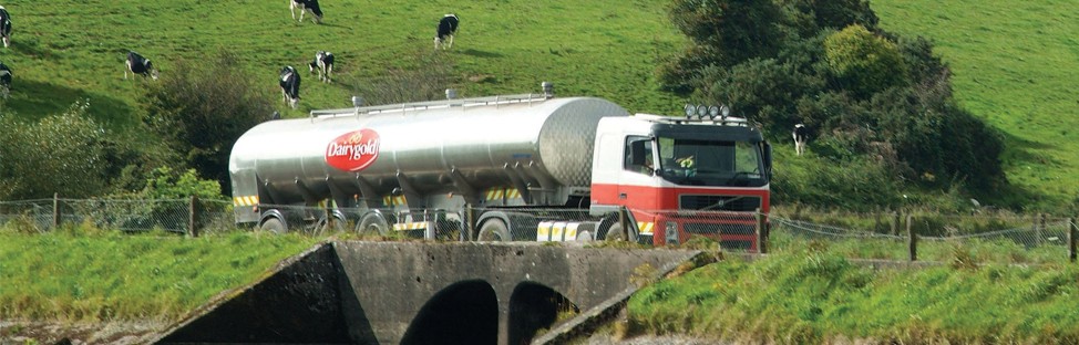 DAIRYGOLD FOOD INGREDIENTS LTD 