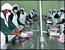 Uganda Fish Packers Ltd.