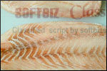 Nge-ge Fish Processors Ltd.