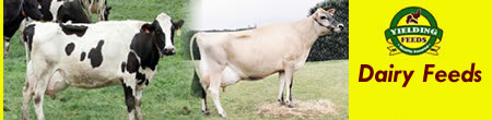 Yielding Feeds Ltd.