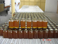 Antelope Milling co ltd
