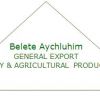 Belete Aychiluhm General Export