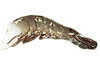 Sea Food International Ltd. - Export Product #1964
