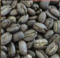 Addis Exporter