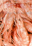 Tgi Group - Export Product #1148