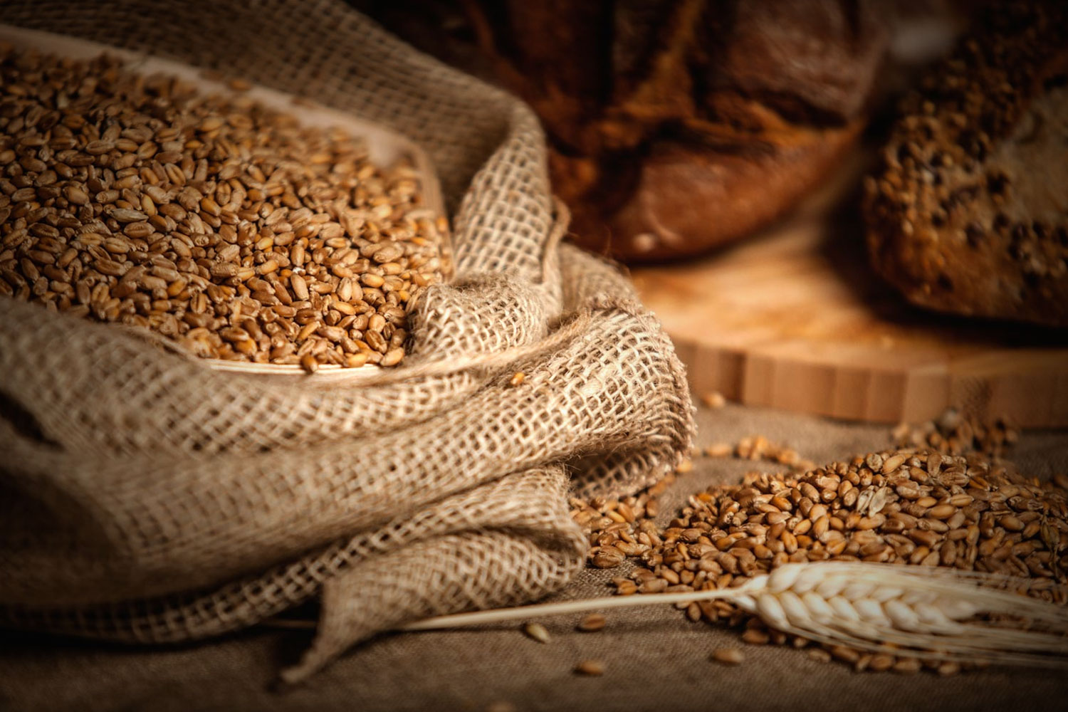 BROAD GRAIN COMMODITIES INC.