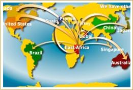 Alpha Group - Export Product #24981