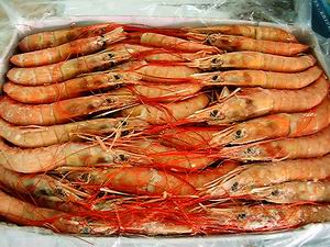 Sea Food International Ltd. - Export Product #1965