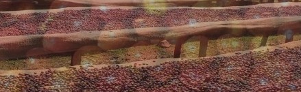Mochaland Import & Export PLC