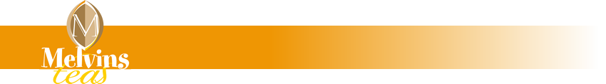 Melvin Marsh International Ltd.