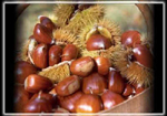 CASTAGNE CAPPETTA S.R.L.
