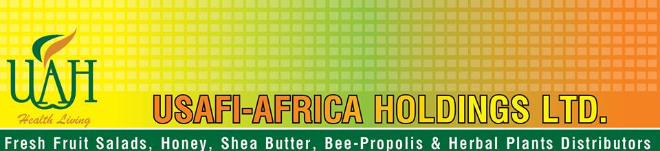 Usafi Africa Holdings