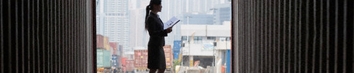ACI LIMITED - Export Product #36071