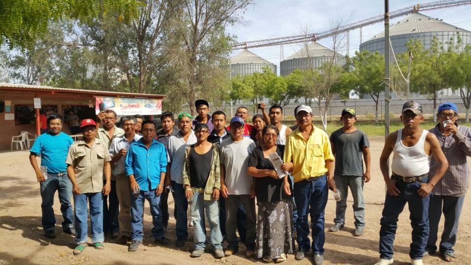 BAJA TRADING ESTABLISHMENT