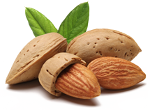 ALMENDRAS DEL SOL (SUN ALMONDS)