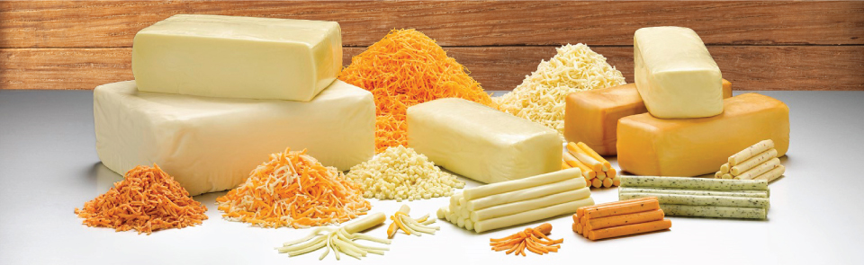 DAIRY PARTNERS LTD