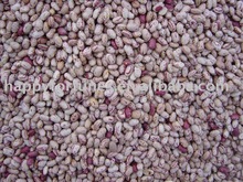 HAPPY FORTUNES TRADING CO. LTD