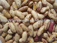 HAPPY FORTUNES TRADING CO. LTD - Export Product #38206