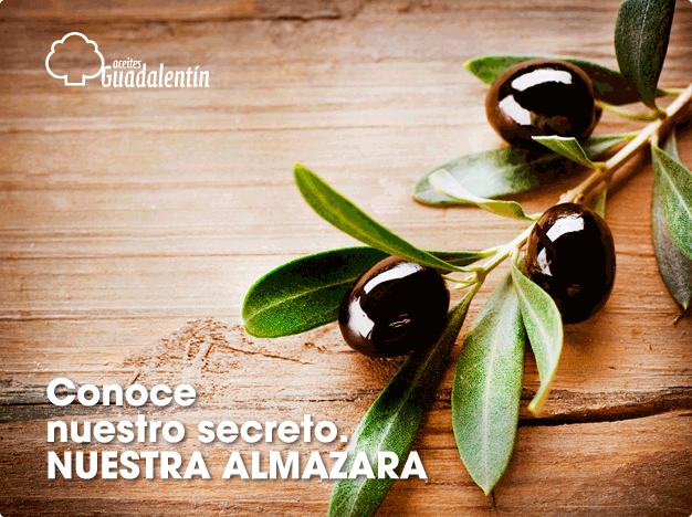 ACEITES GUADALENTIN - Export Product #36025