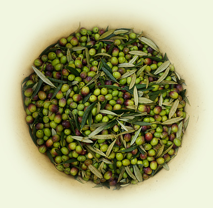 Aceites Abril - Export Product #36018