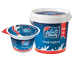 DANDY COMPANY LTD
