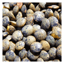 COMMODITIES EXCHANGE