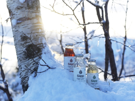 Säpp – introducing birch water to the global markets