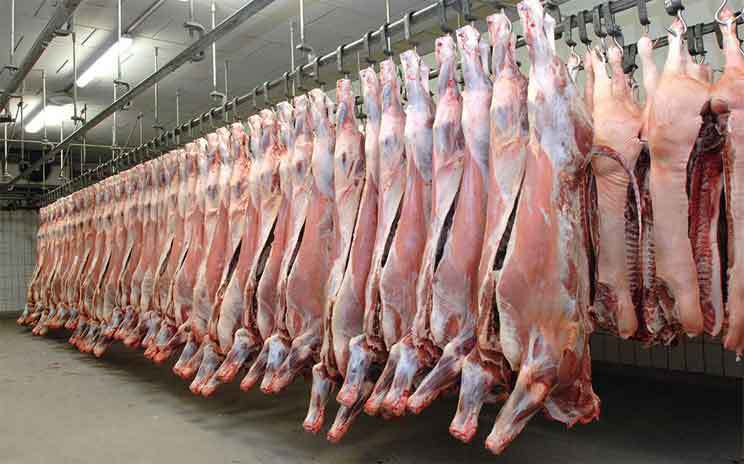 Somalia opens state-of-the-art abattoir