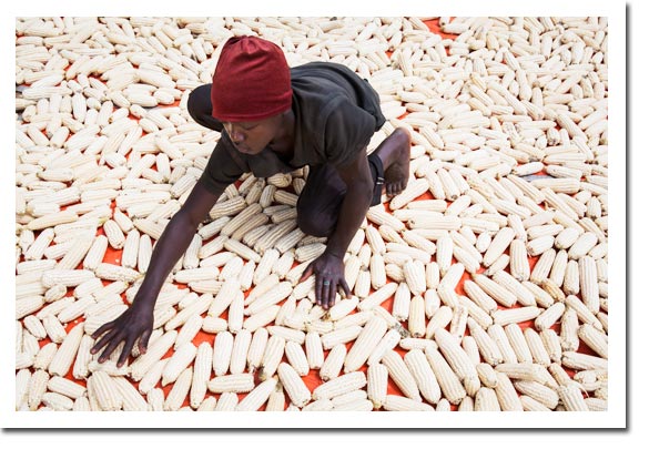 Rwanda tightens rules on food safety