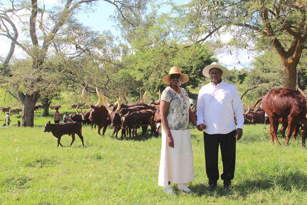 Uganda allots 27 square miles of land to UAE investor