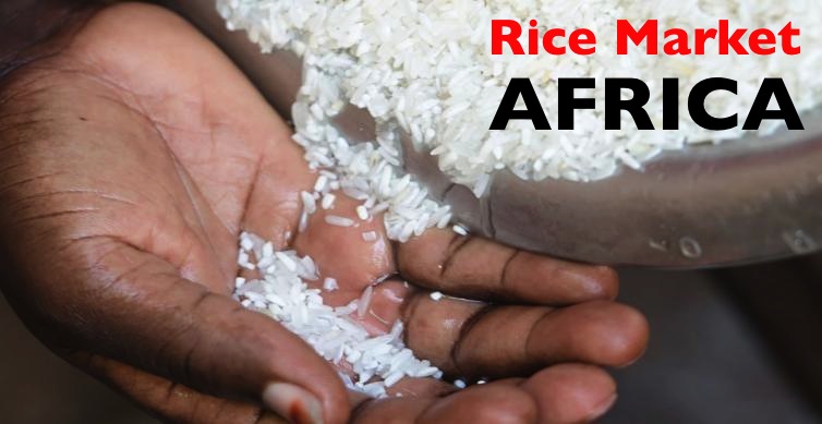 Agrofood Nigeria 2027 - West Africa's Premier Food & Hospitality Expo