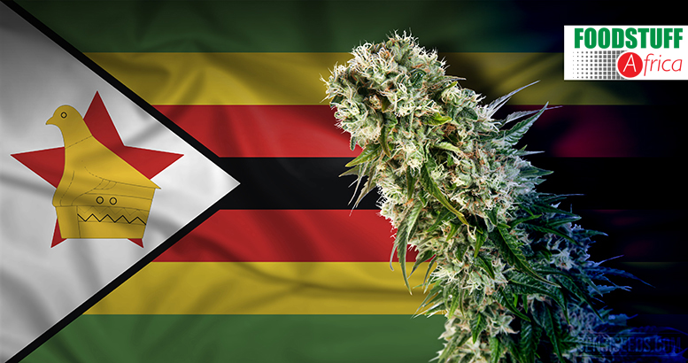 Cannabis Cultivation in Zimbabwe Attracts Investments