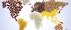 Food industry africa